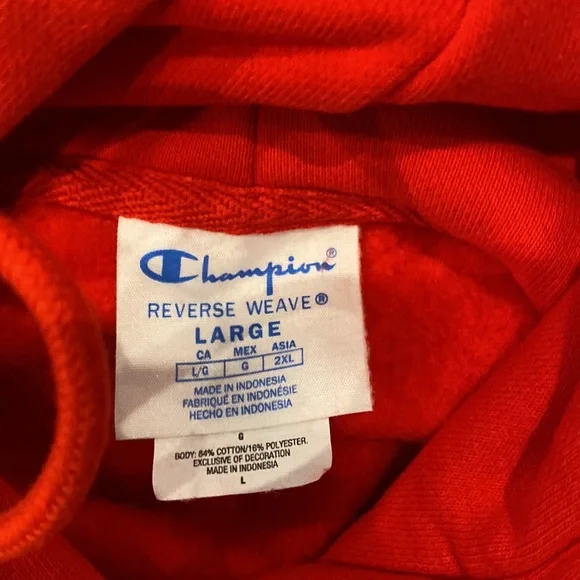 Heavy Champion Hoodie - Picture 3 of 4